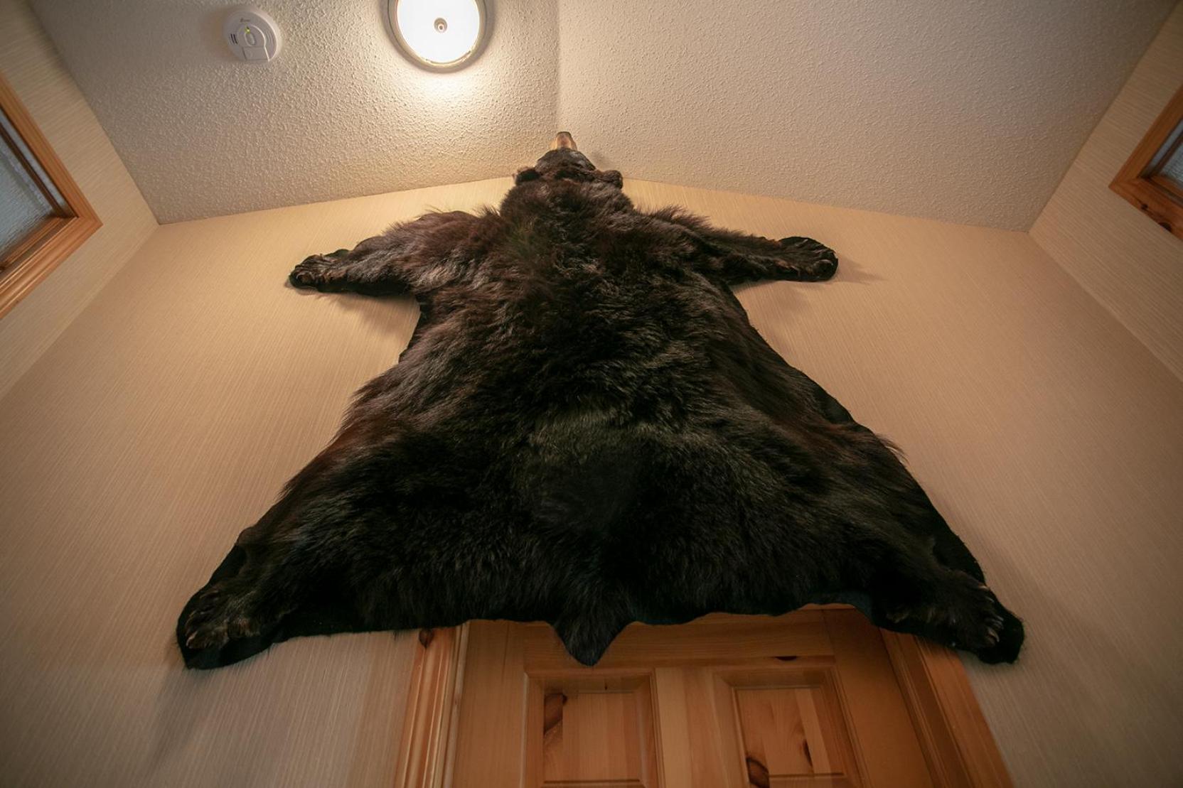 Banff Wood Lodge Канмор Экстерьер фото